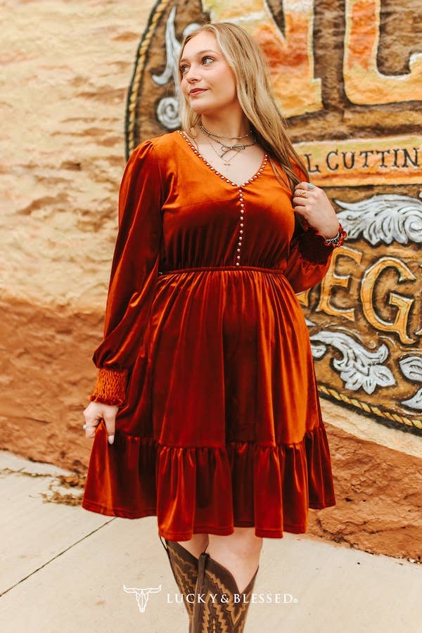 Rust Velvet Vintage Ruffle Hem Studded Dress