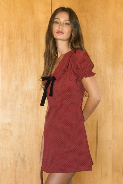 Maple Rose Polka Dot Mini Dress