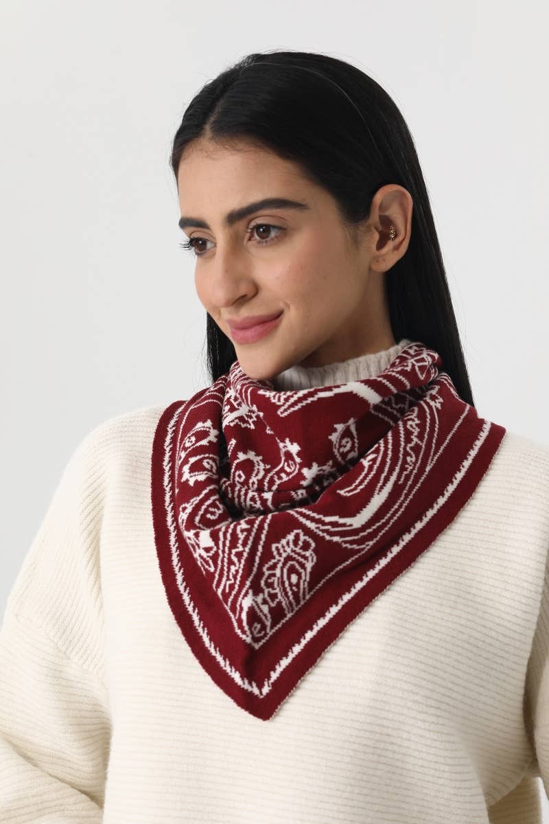 Paisley Knit Triangle Scarf Head Wrap (2 Colors)