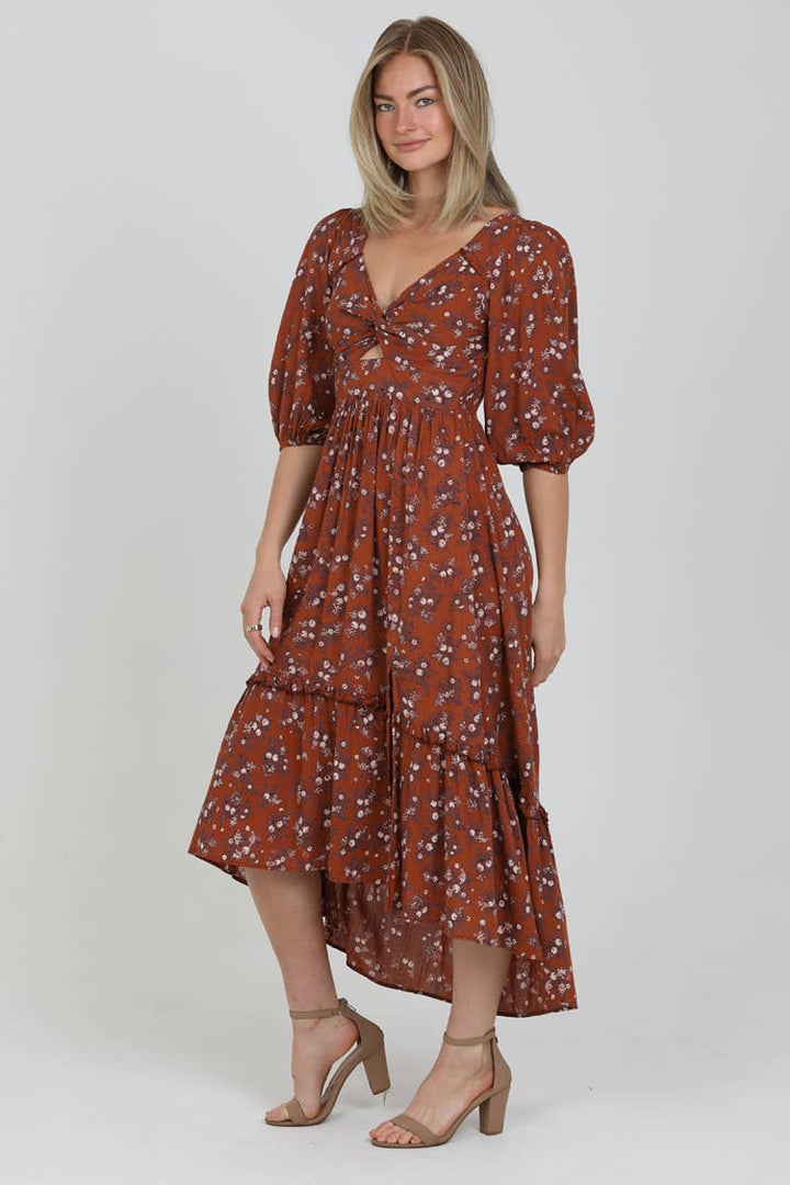 Fall Feel Brown Maxi Dress