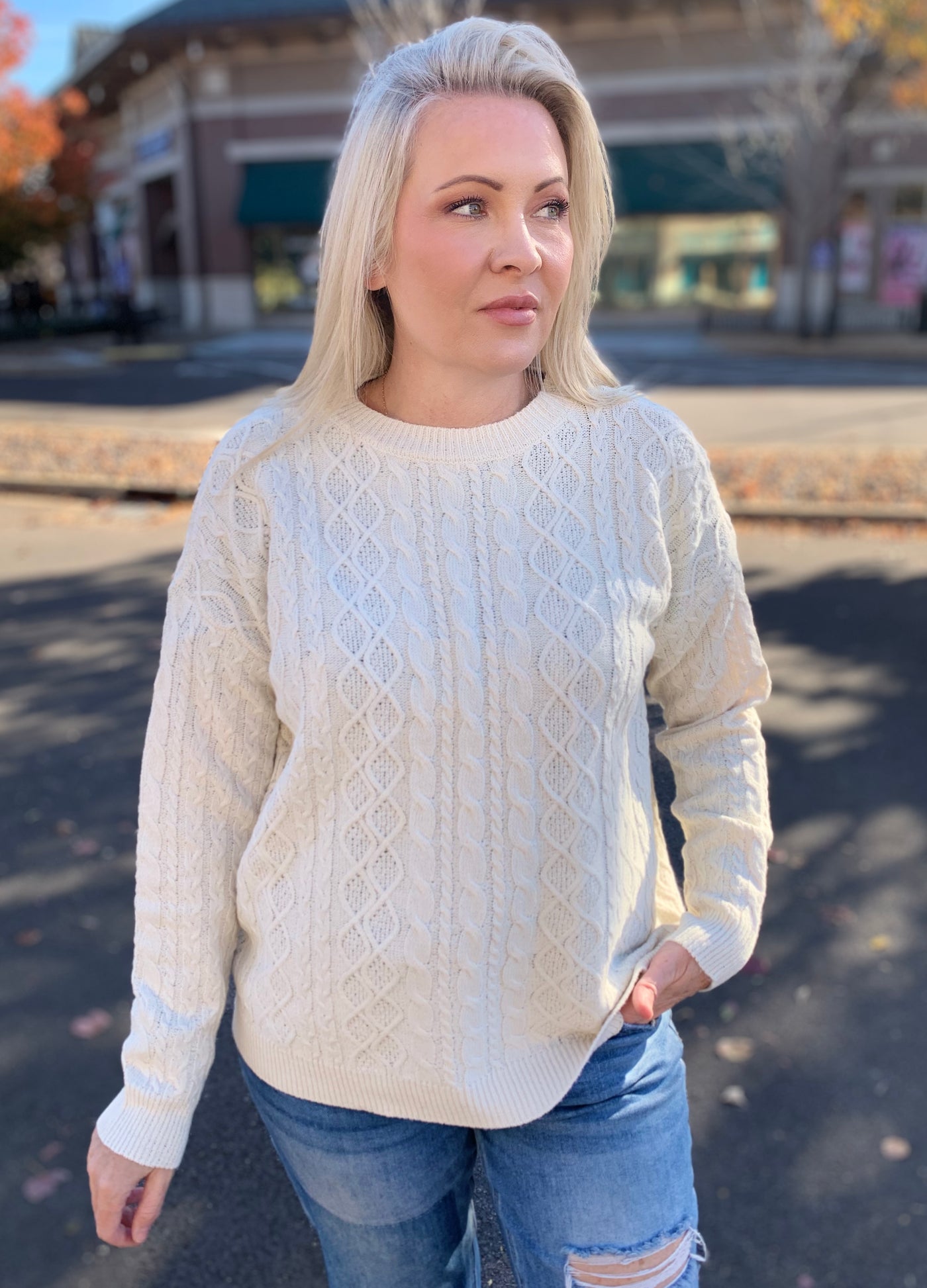 Heather Cream Cable Knit Sweater