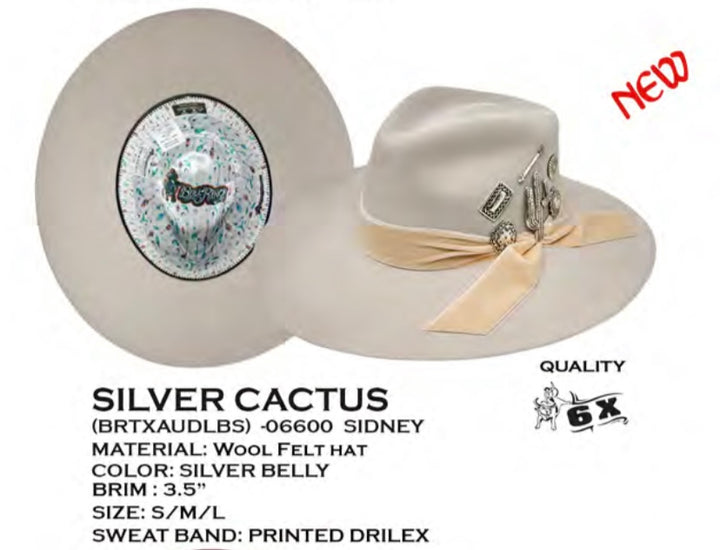Silver Cactus Wool Felt Hat – PISTOLS-N-VIXENS display picture 2