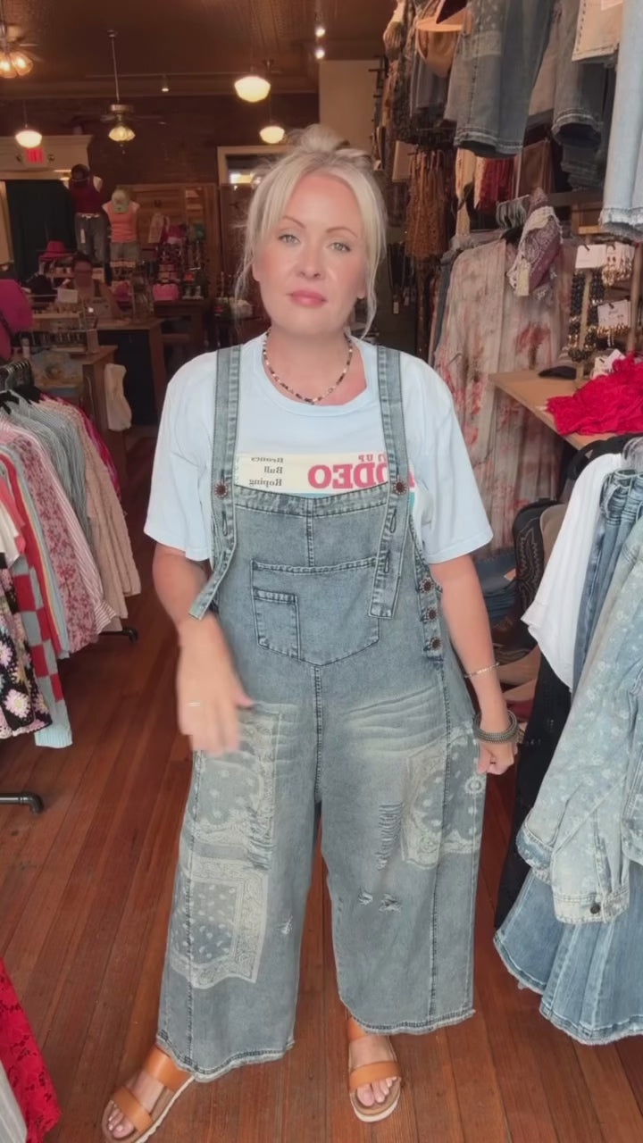 Vintage Denim Distressed Overalls